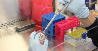 Peste polmonare, i sintomi, il contagio le cure: tutto quello che c'è da sapere