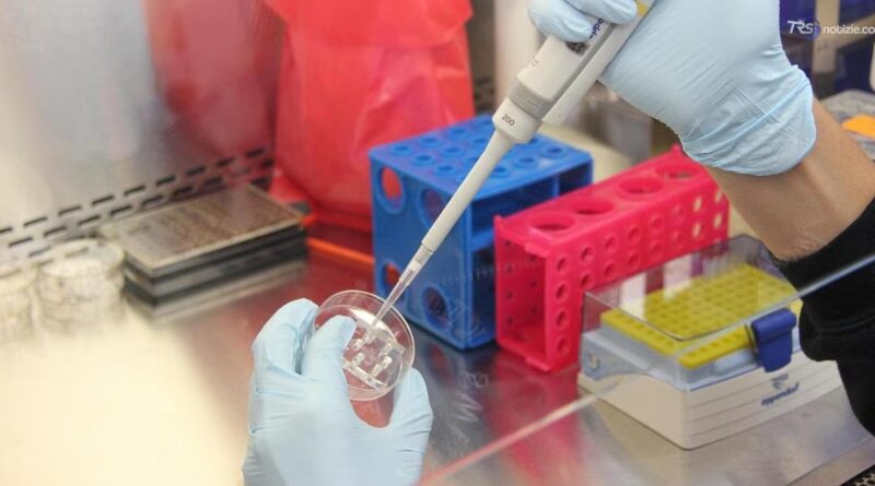 Peste polmonare, i sintomi, il contagio le cure: tutto quello che c'è da sapere