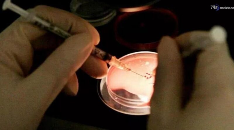 Peste in laboratorio russo, quali rischi reali e sospetti