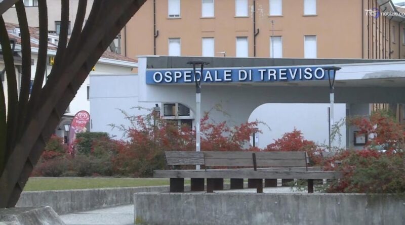 Treviso, preso in giro dai bulli si getta dal primo piano della scuola: grave un 13enne