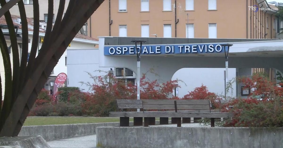 Treviso, preso in giro dai bulli si getta dal primo piano della scuola: grave un 13enne
