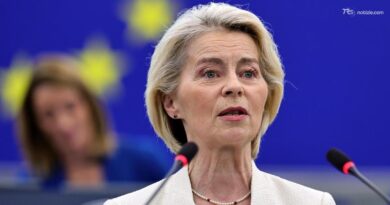 Ue: "Task force per domanda energia"