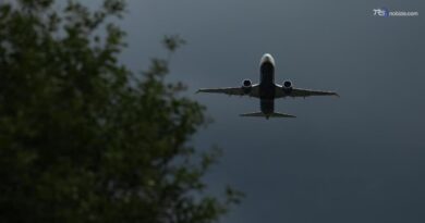 Cimici dei letti a bordo di un aereo proveniente dall'Australia, volo Qantas fermato a Fiumicino