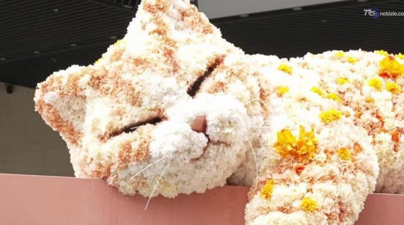 Il gatto più famoso di Shanghai è fatto di fiori