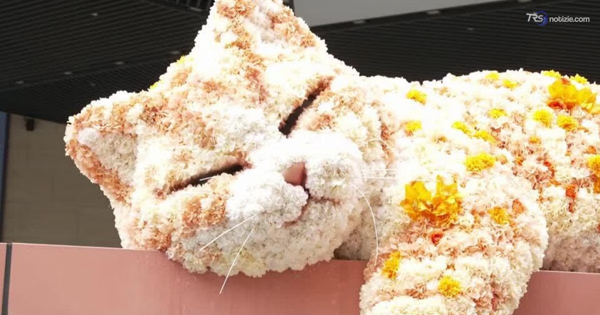 Il gatto più famoso di Shanghai è fatto di fiori