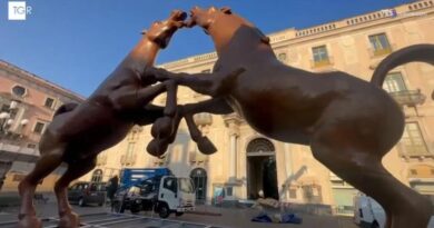 I due cavalli in bronzo in piazza Università animano il dibattito in città