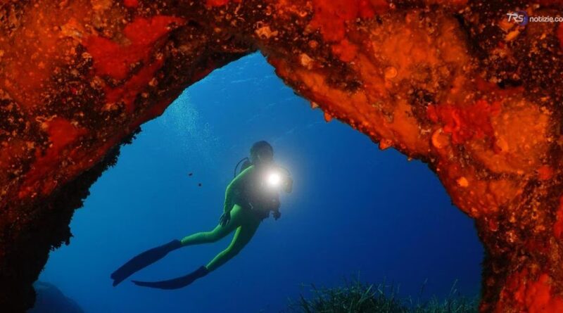 Subacquatica 2026, le immagini sono straordinarie