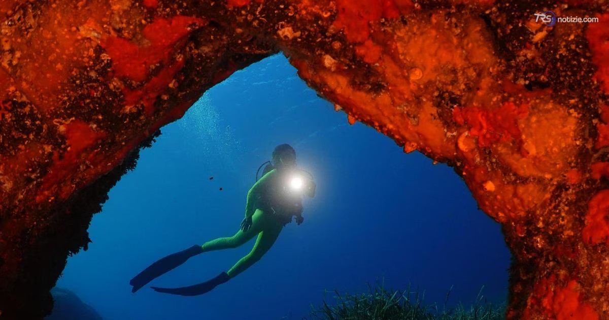 Subacquatica 2026, le immagini sono straordinarie