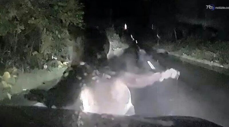 “Faccia a faccia” con un orso: il muso sul parabrezza di un'auto. La scena ripresa dalla dashcam