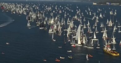 Aspettando la Barcolana, nel Golfo di Trieste tra vele e habitat marini