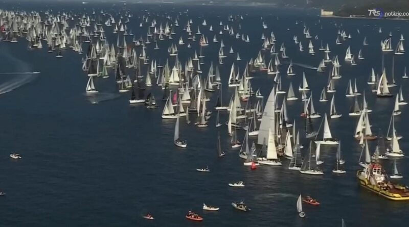 Aspettando la Barcolana, nel Golfo di Trieste tra vele e habitat marini