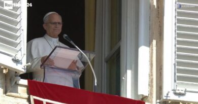 Papa: "Vi sia pace in nome di Francesco"