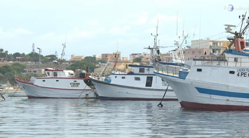 Caro carburante, pescherecci messi a secco. L'allarme dei pescatori