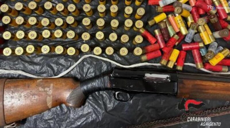 70 kg di marijuana trovati in un vigneto, denunciato un 72enne