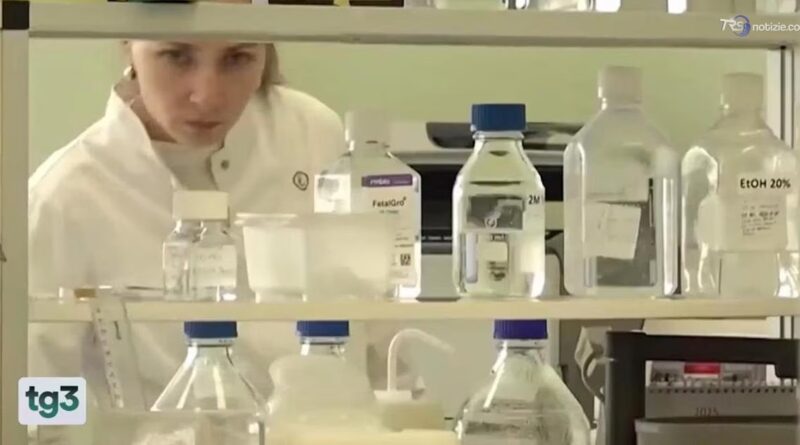 Caso peste in Siberia: l'OMS chiede chiarimenti sulla morte dell'operatrice di laboratorio in Russia