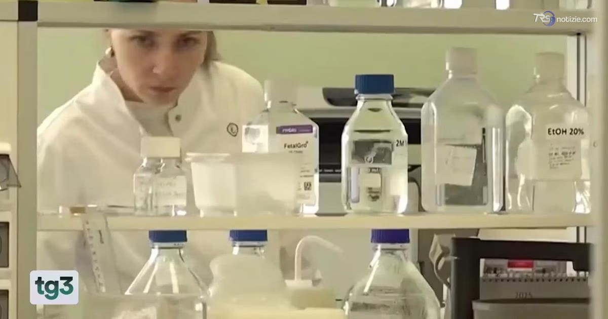 Giallo su polmonite di origine sconosciuta in Siberia