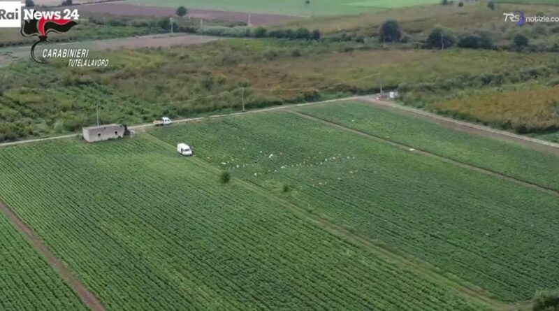 Caporalato, braccianti ridotti in schiavitù nel Casertano