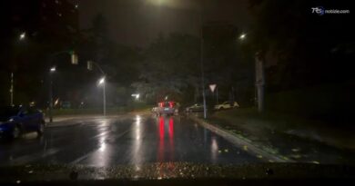 Pioggia a catinelle, il camera car a Bologna del maltempo, pioggia al centro e nord Italia