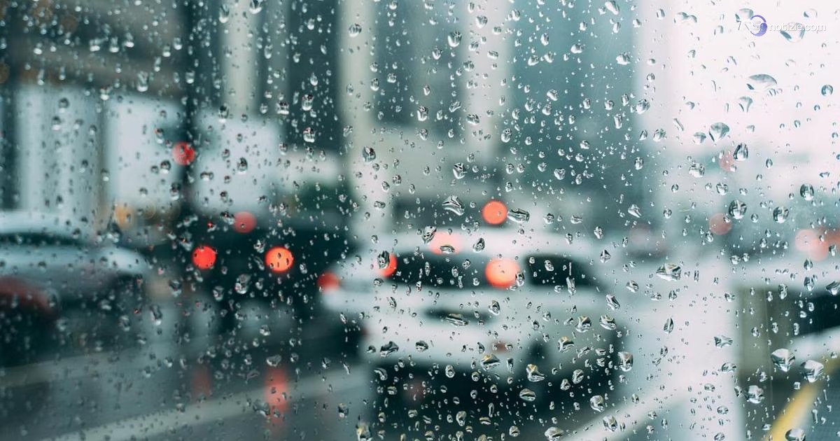 Alberi caduti nella zona Nord, vento e pioggia a Roma: allagamenti nelle stazioni della Metro
