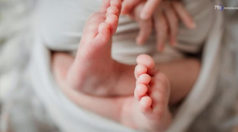 Nato prematuro e con una grave cardiopatia: al Bambino Gesù salvato con intervento mininvasivo