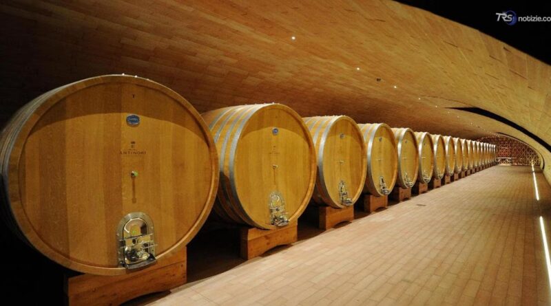 Maxi furto di vini pregiati da 5 milioni nell'azienda Marchesi Antinori a Cortona