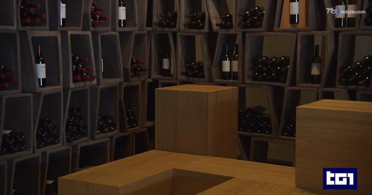 Il furto più grande nella storia delle cantine italiane: rubate 30mila bottiglie di vini Antinori