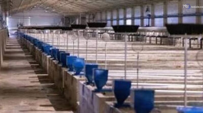 Tromba marina nel Trapanese, azienda ittica di Petrosino in ginocchio: "Aiutateci a ricostruire"