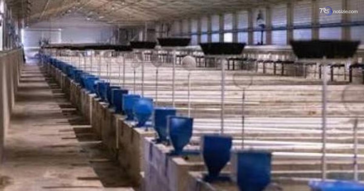 Tromba marina nel Trapanese, azienda ittica di Petrosino in ginocchio: "Aiutateci a ricostruire"