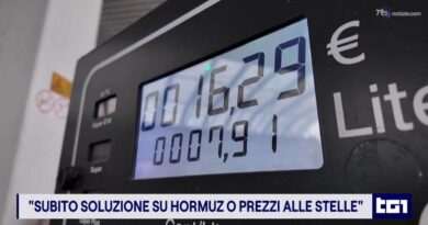 Caro energia, la Russia non basta: senza soluzione su Hormuz, prezzi alle stelle