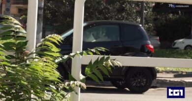 Caso minicar: un uomo, padre di due figli (di cui uno minorenne), e la denuncia di un'auto rubata