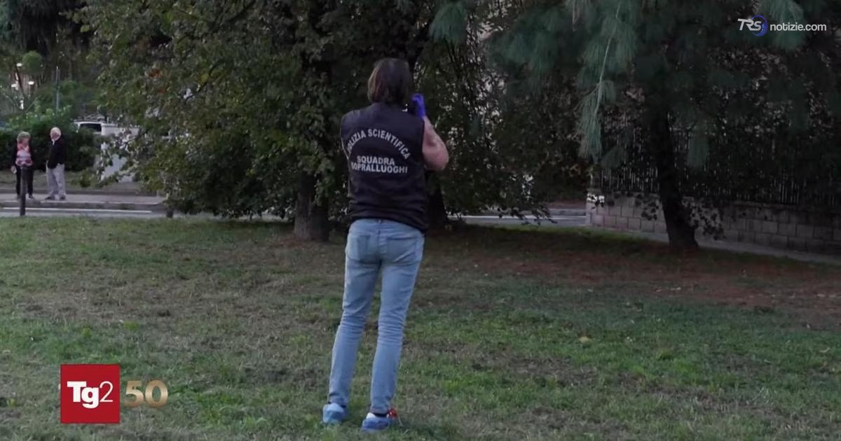 Neonato abbandonato a Cinisello Balsamo, trovato vivo in un giardino da una passante
