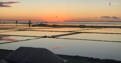 I numeri del turismo al Ttg di Rimini: cresce la spesa degli stranieri in Italia