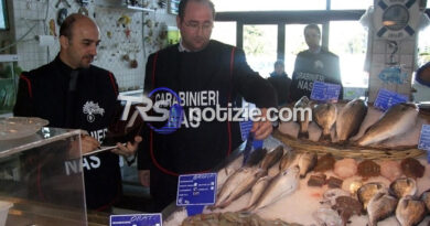 Porto Empedocle, sequestrati 270 chili di pesce: due commercianti denunciati e multe per 54 mila euro