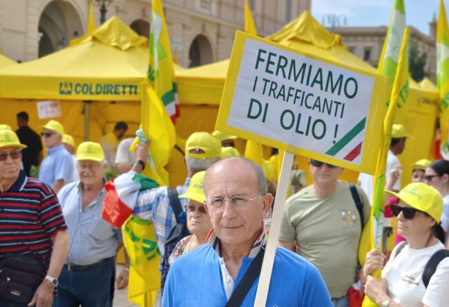 Crisi dell’olio, nove Comuni chiedono lo stato di crisi e aiuti economici per gli agricoltori