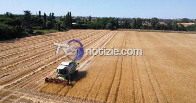 Crisi dell’agricoltura nell’Agrigentino, Pendolino promuove un’azione unitaria: lunedì documento al Prefetto