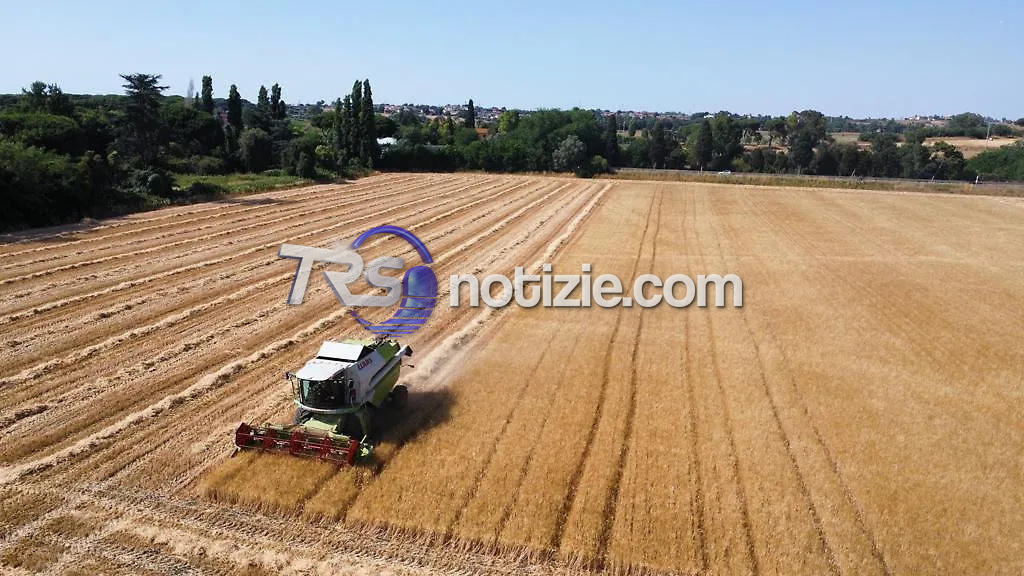 Crisi dell’agricoltura nell’Agrigentino, Pendolino promuove un’azione unitaria: lunedì documento al Prefetto