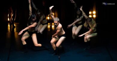 L.a.v.a: la forza della danza contemporanea arriva al Verga