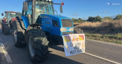 Agricoltori siciliani scrivono alla presidente Meloni: "Da Regione mancette, per noi niente"