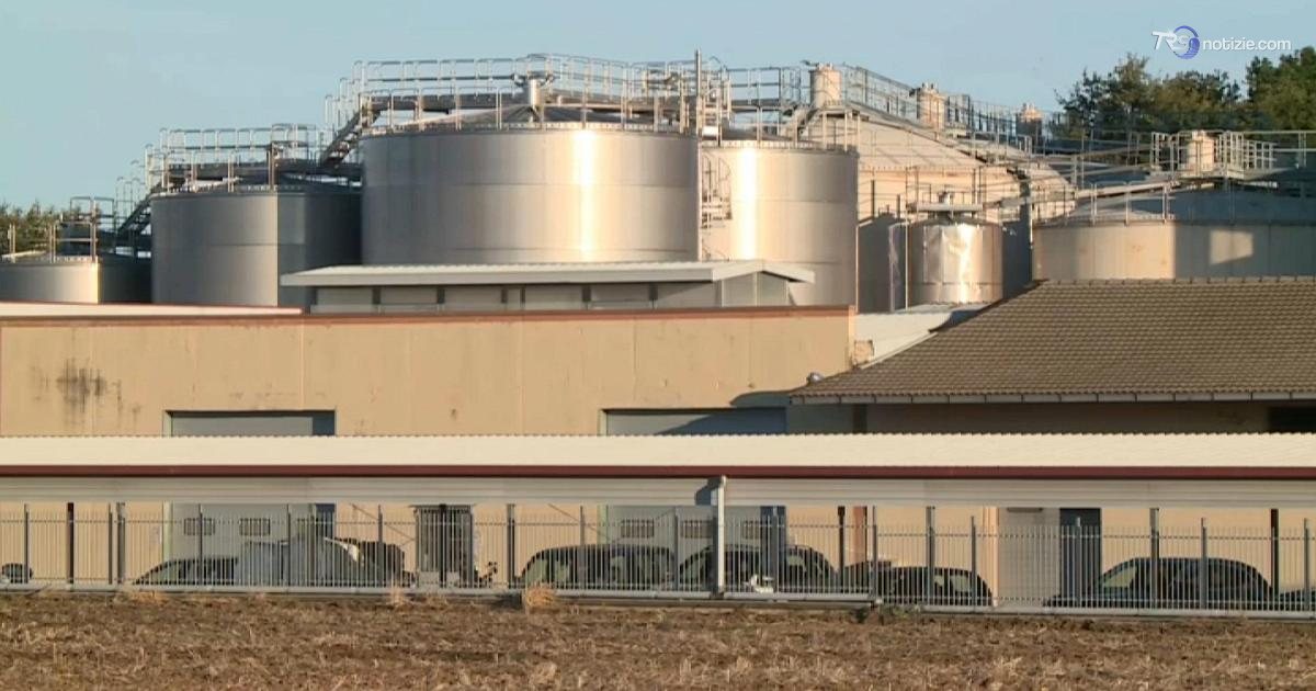Incidente sul lavoro in una cantina sociale, muore un operaio di 23 anni: stava per laurearsi