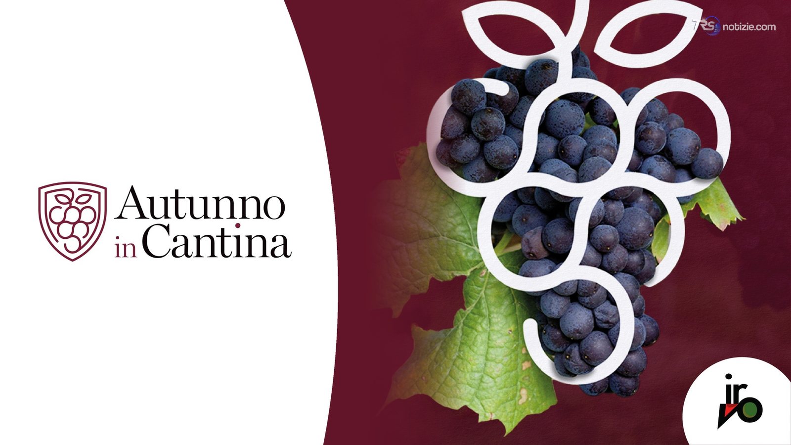 “Autunno in Cantina”, gran finale tra Sambuca di Sicilia e Marsala