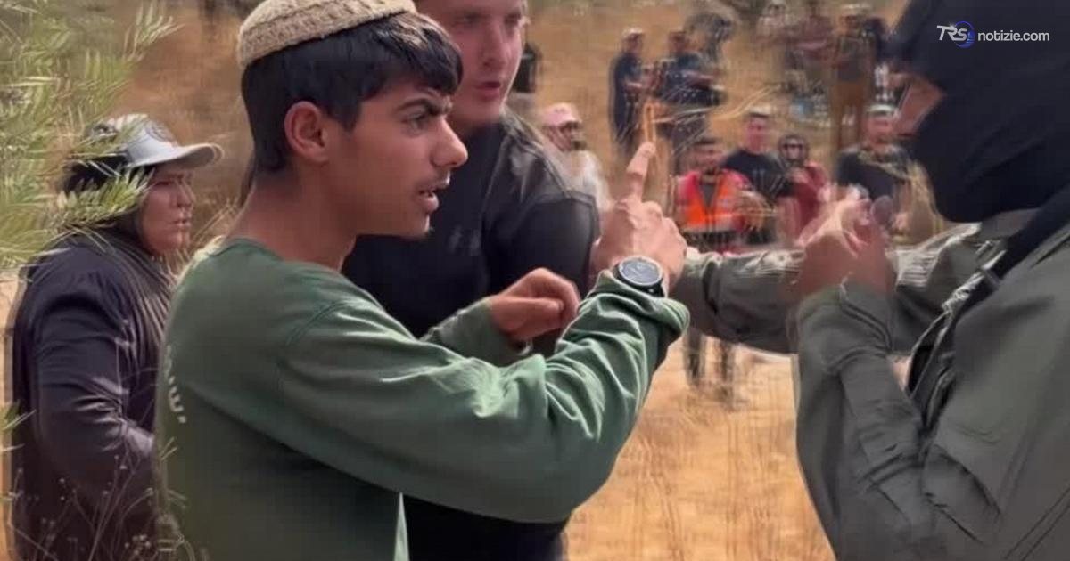 La violenza crescente dei coloni che rubano le olive ai palestinesi