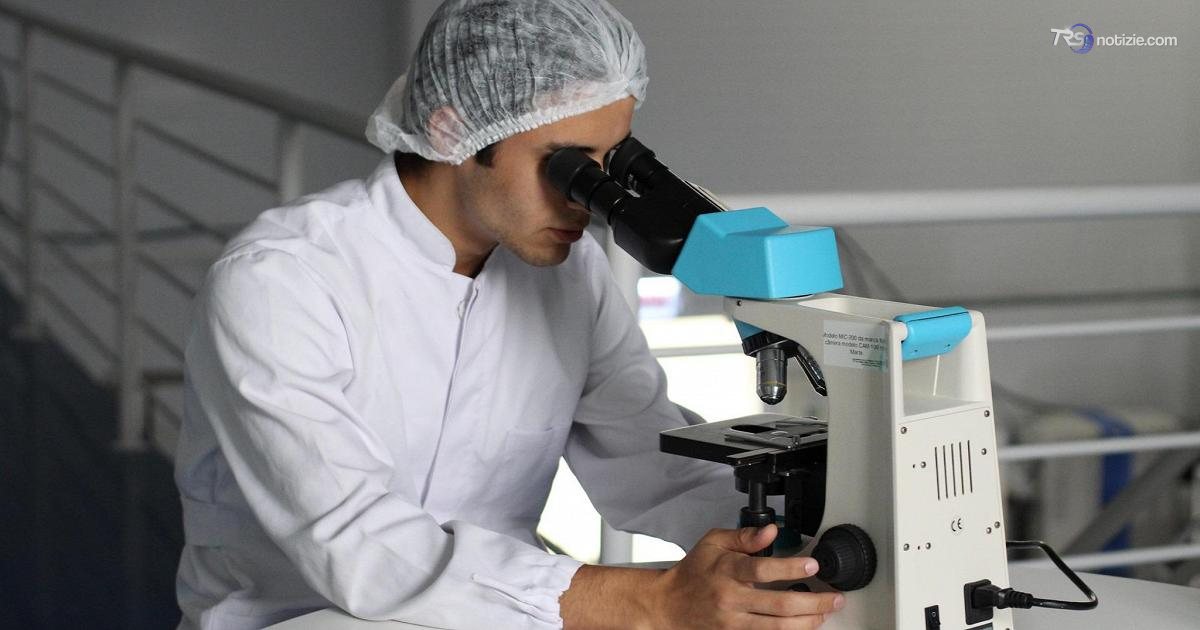 Primo contagio umano virus Shamonda: paziente è morto