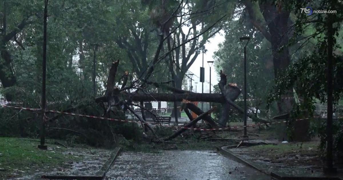 Forti piogge in Liguria, a Savona ferita una donna da un ramo caduto