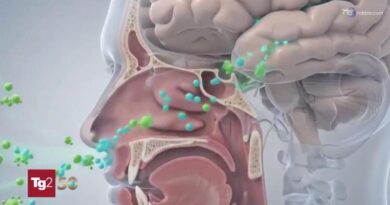 Trasmettere gli odori a distanza con l'aiuto dell'AI