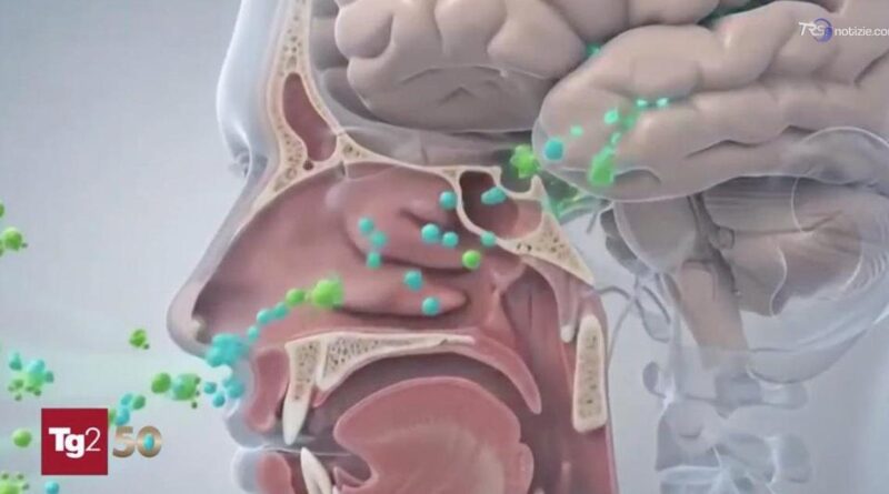 Trasmettere gli odori a distanza con l'aiuto dell'AI
