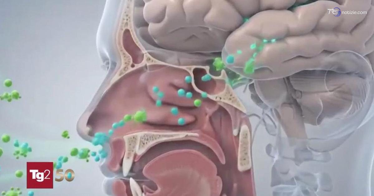 Trasmettere gli odori a distanza con l’aiuto dell’AI