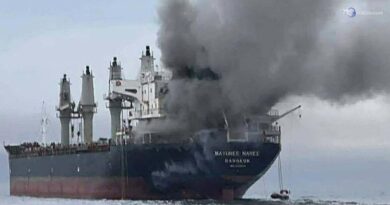Hormuz, nave in fiamme al largo Oman