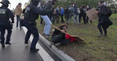 Francia, a Orléans la polizia carica un corteo non autorizzato contro Le Pen -Video