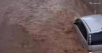 Auto sommerse, furia dell'acqua: diventa fango e travolge tutto sull'Isola d'Elba
