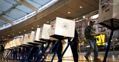 Usa, tutto quello che c'è da sapere sulle elezioni di midterm: perché, come, per chi e cosa si vota